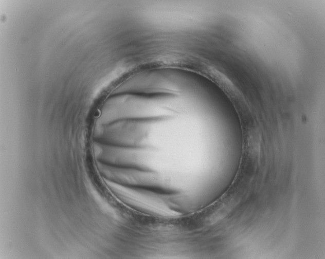 X0000089430730200707061343