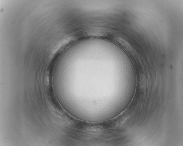 X0000089430731200707061343