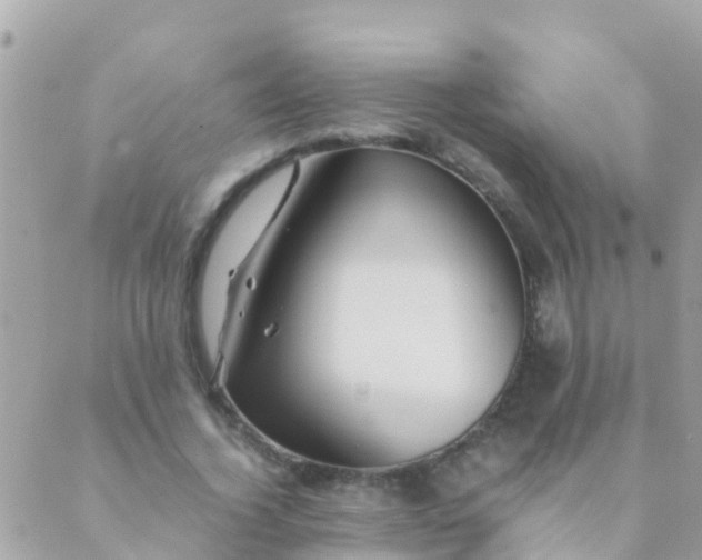 X0000089430732200707061343