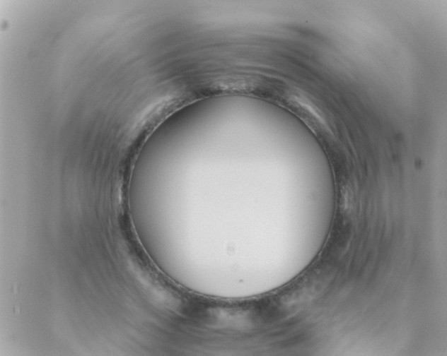 X0000089430733200707061343