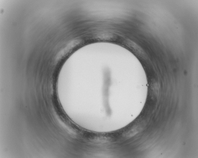 X0000089430734200707061343