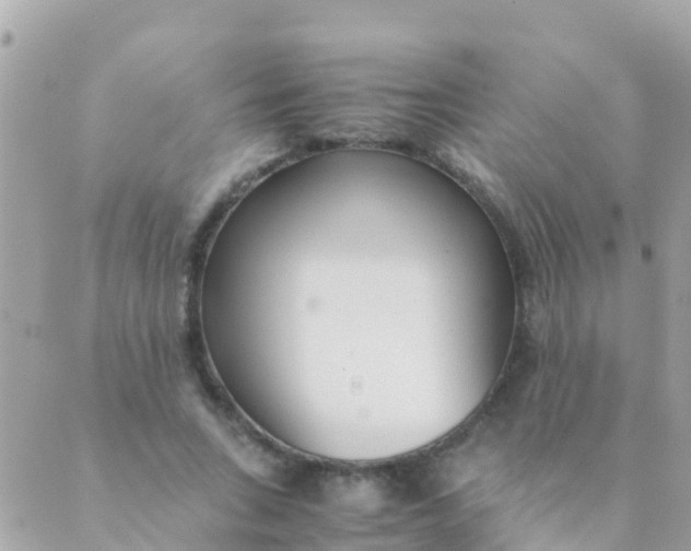 X0000089430735200707061343