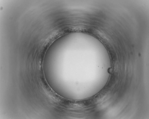 X0000089430737200707061343