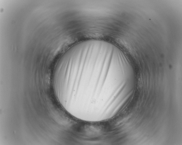 X0000089430739200707061343