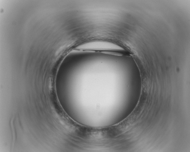 X0000089430740200707061343