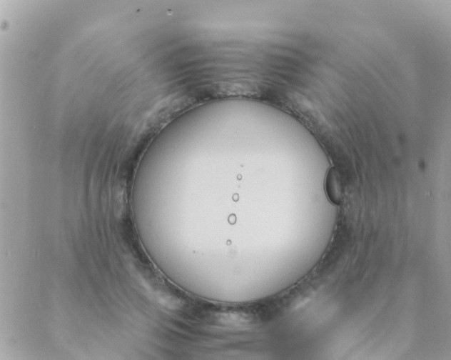 X0000089430741200707061343