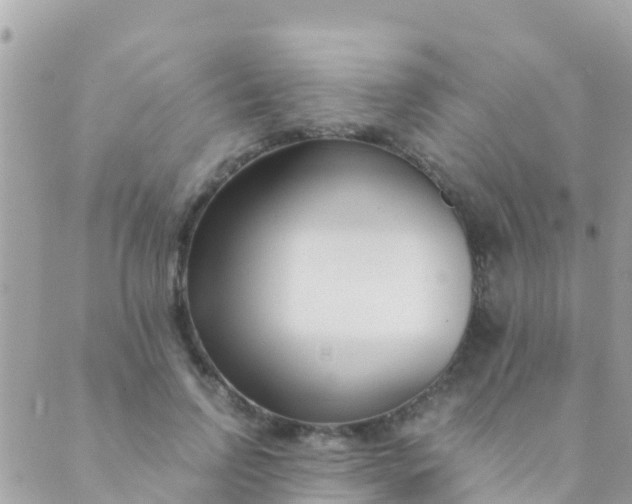 X0000089430742200707061343