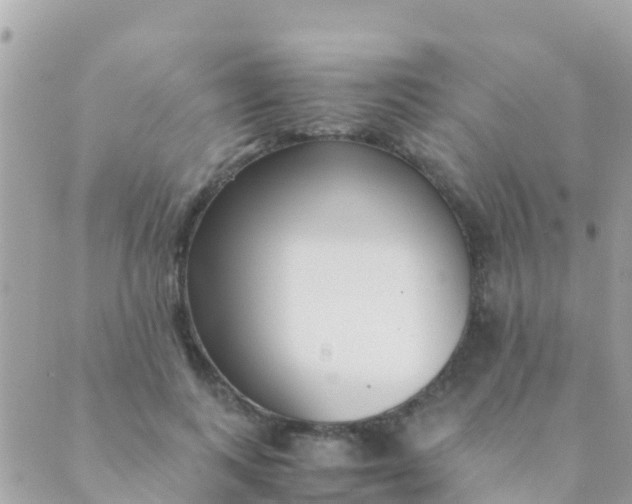 X0000089430743200707061343