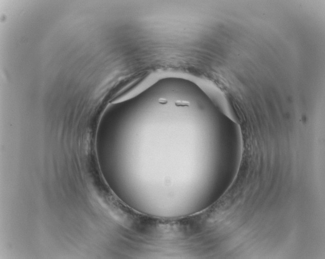 X0000089430744200707061343