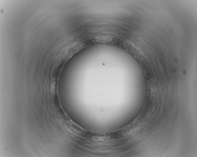 X0000089430745200707061343