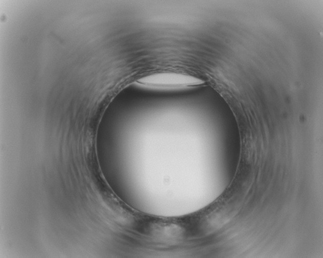 X0000089430747200707061343