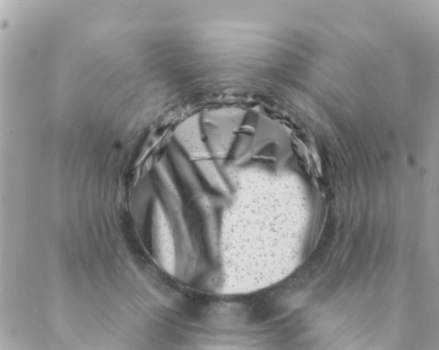 X0000089430748200707061343