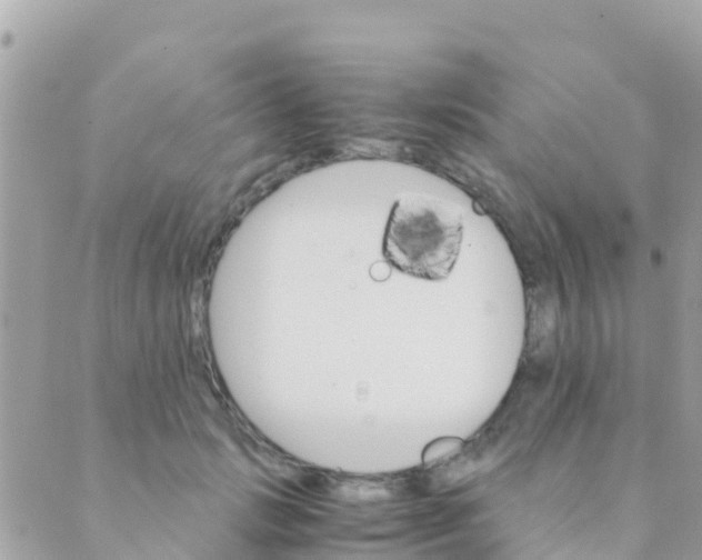 X0000089430749200707061343