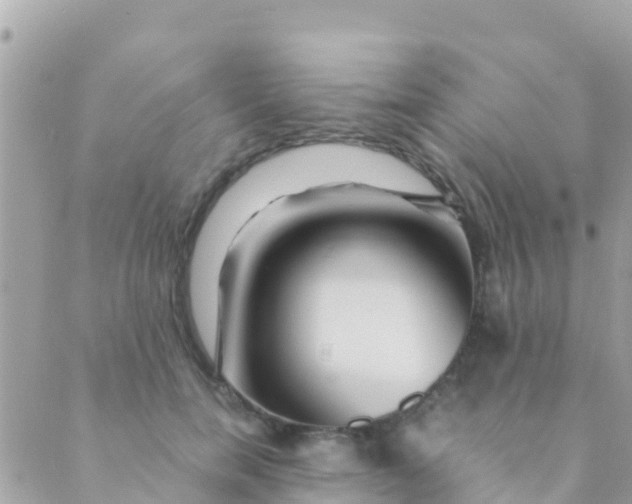 X0000089430750200707061343