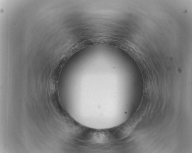 X0000089430751200707061343