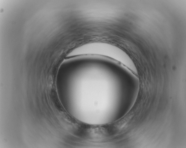 X0000089430752200707061343