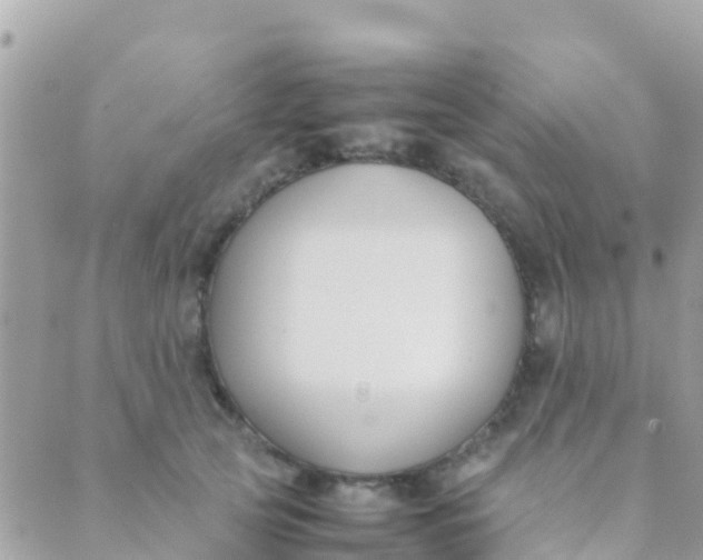 X0000089430753200707061343