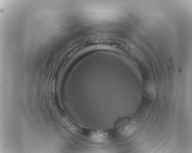 X0000089430754200707061343