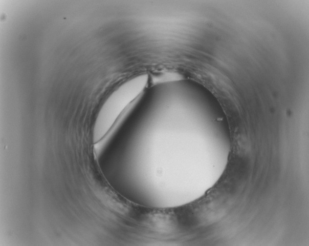 X0000089430756200707061343