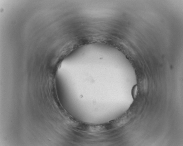 X0000089430757200707061343