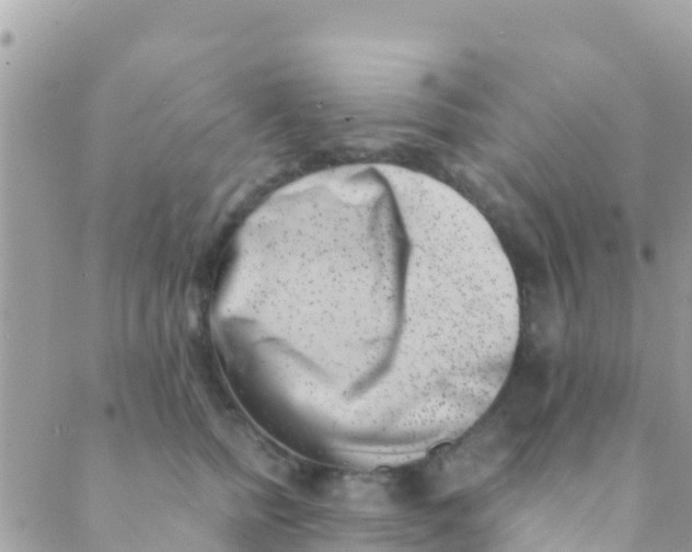 X0000089430758200707061343