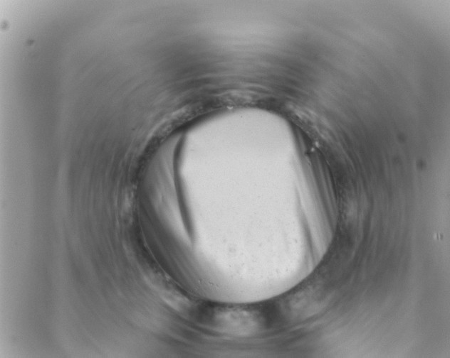 X0000089430759200707061343