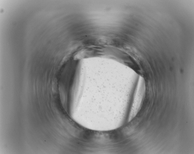 X0000089430760200707061343