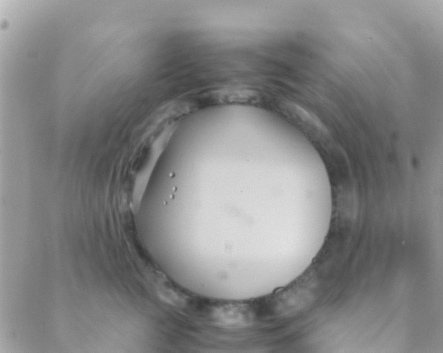 X0000089430761200707061343