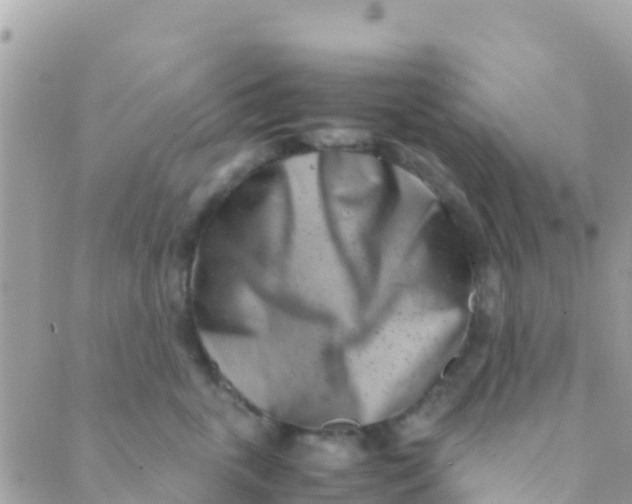 X0000089430763200707061343