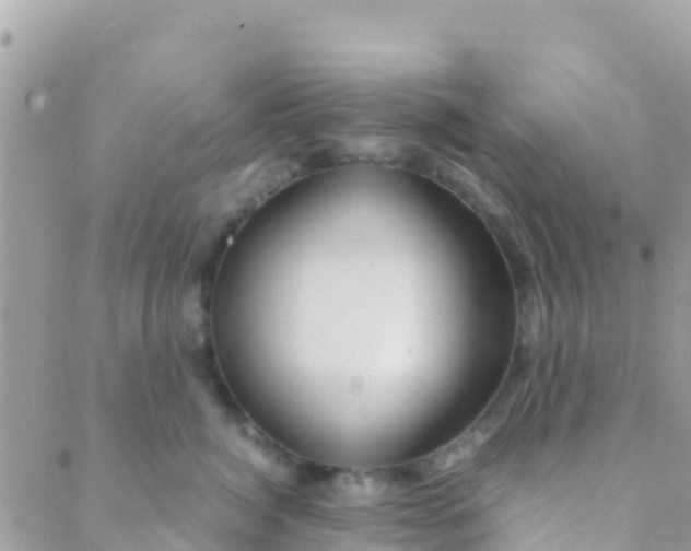 X0000089430764200707061343