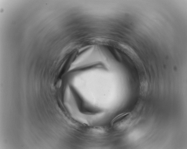 X0000089430765200707061343