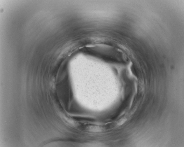 X0000089430766200707061343