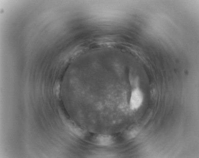 X0000089430767200707061343