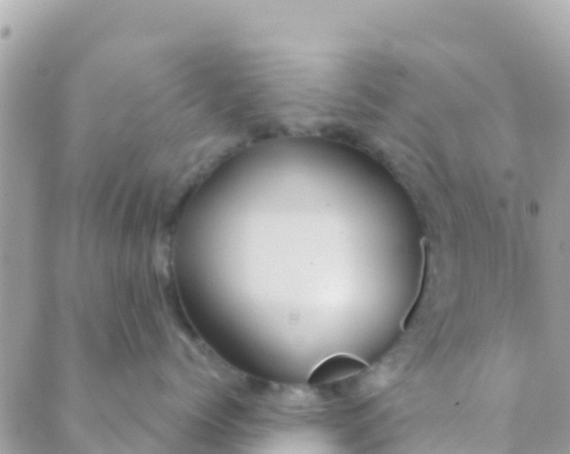 X0000089430768200707061343