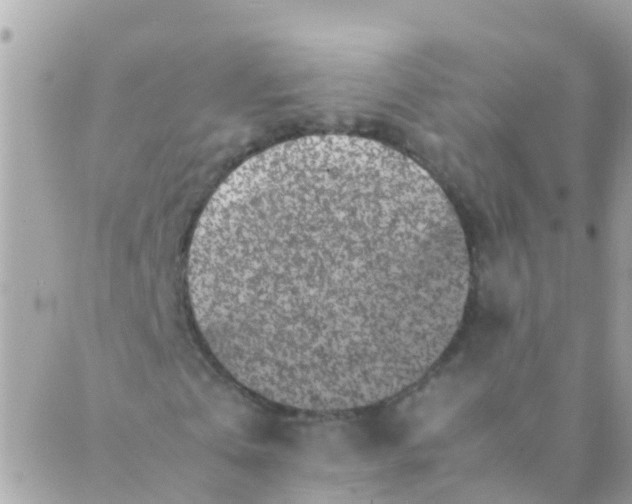 X0000089430769200707061343