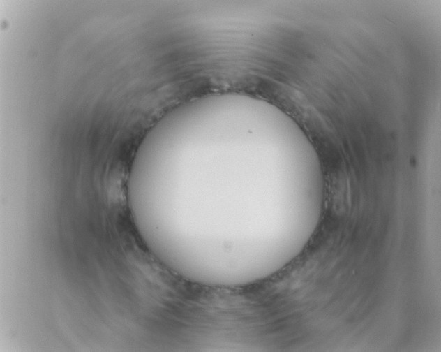 X0000089430770200707061343