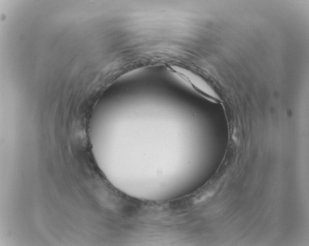 X0000089430771200707061343