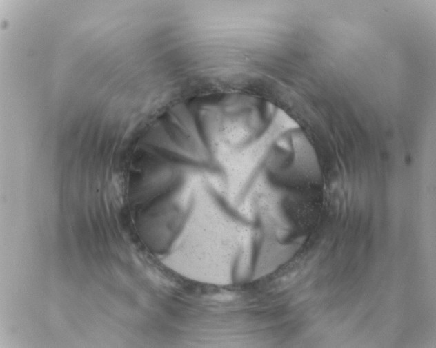 X0000089430772200707061343