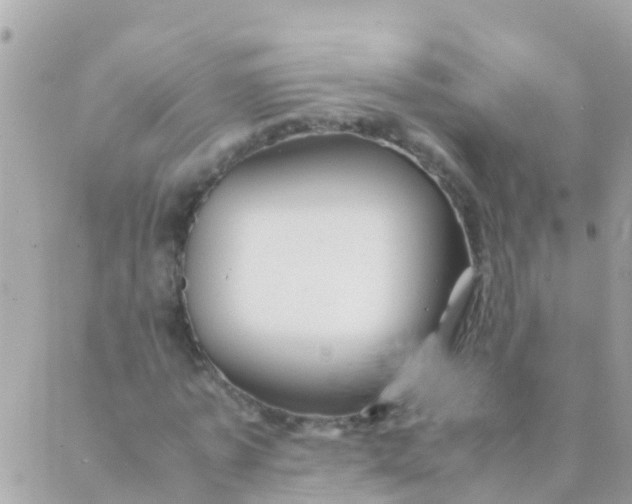 X0000089430773200707061343