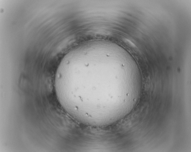 X0000089430774200707061343