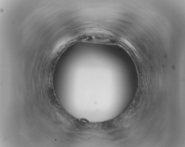 X0000089430775200707061343