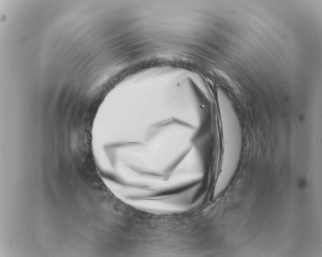 X0000089430776200707061343