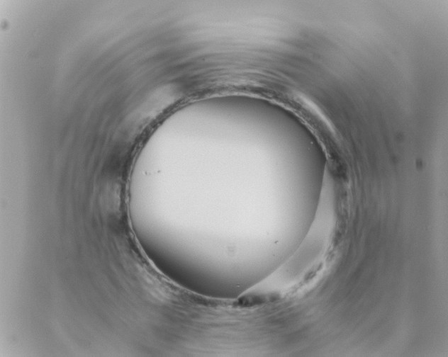 X0000089430777200707061342