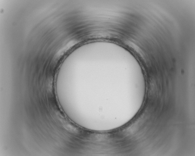 X0000089430778200707061342