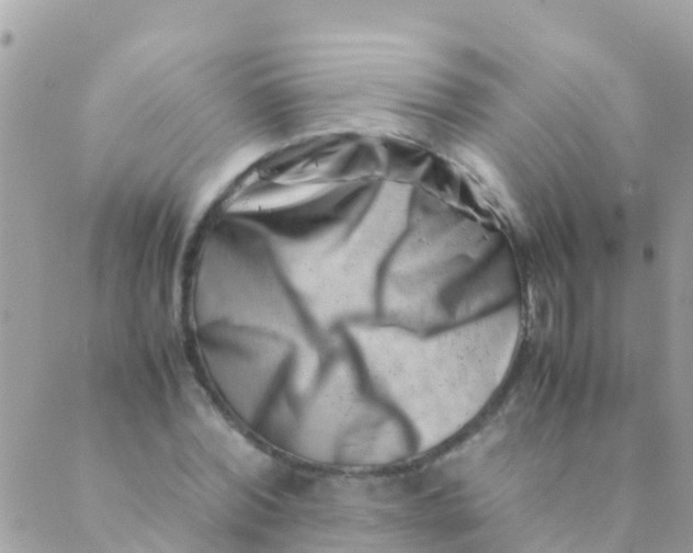 X0000089430780200707061342