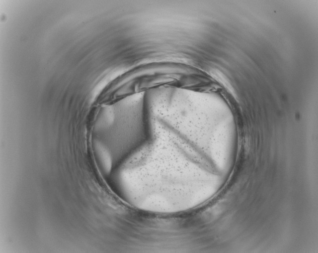 X0000089430781200707061342