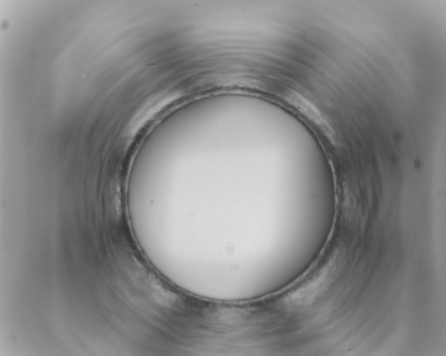 X0000089430782200707061342