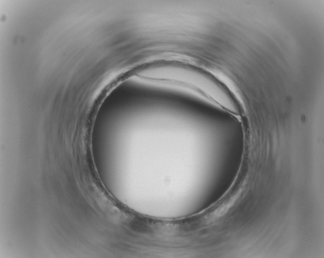 X0000089430783200707061342