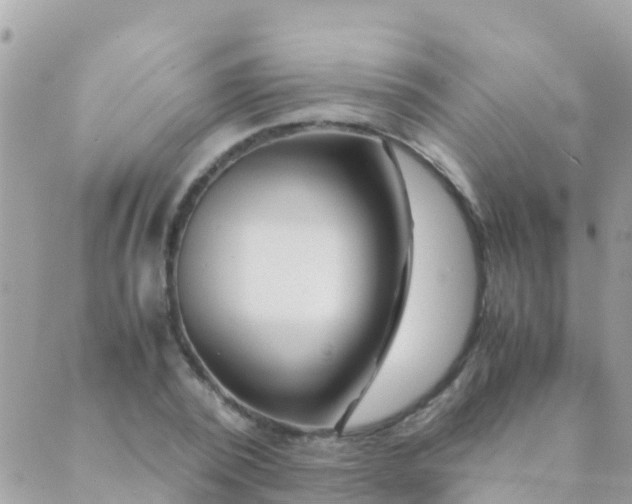 X0000089430784200707061342