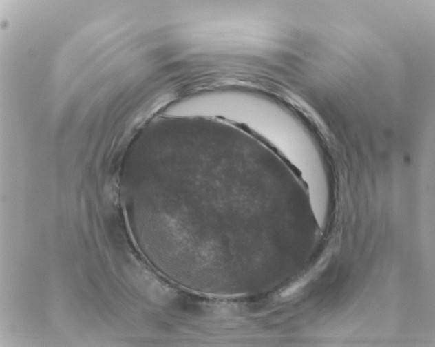 X0000089430785200707061342